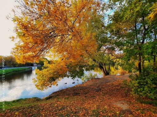 🍂 Осенние мотивы... а скоро осень. Кто-то её ждёт?  Фото: Марина..