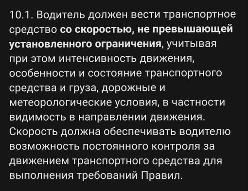 На МКАДе массовое ДТП спровоцировали… утки  Мама-утка и выводок невозмутимо переходили многополосную..