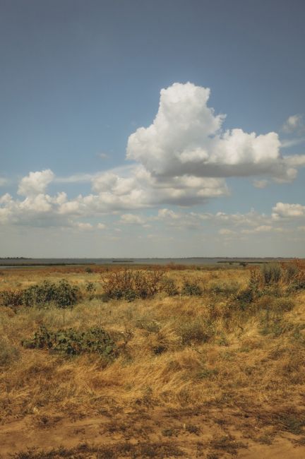 Жаркий день в хуторе Маныч-Балабинка, Ростовская область  📸 Фото: Артём..