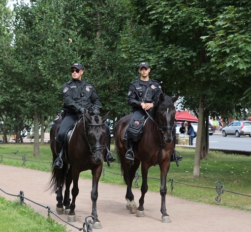 В центре Петербурга появились полицейские-всадники. Парные конные патрули заступили на дежурство на двух..