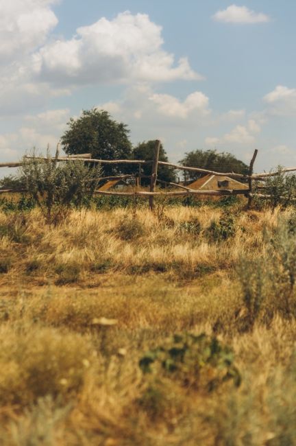 Жаркий день в хуторе Маныч-Балабинка, Ростовская область  📸 Фото: Артём..