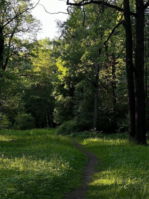 🌳 Москва. Ботанический сад...