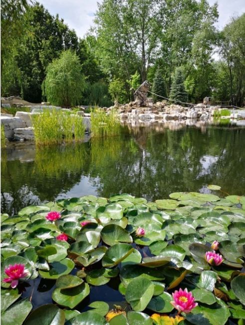 🪷🍃 Хуамин — ландшафтный парк в китайском стиле в Москве  В Москве есть настоящий островок китайского..