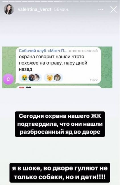 В Москве «авторитетный» бизнесмен из Чечни решил навести свои порядки в ЖК «Матч пойнт» и истребить всех..