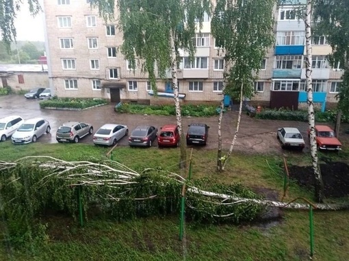 🗣️ Арзамас пострадал от ночной непогоды  Из-за сильного ветра и дождя в городе упало примерно 30 деревьев...