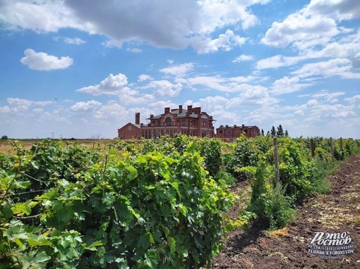 🍇🍷 Донская винодельня в Багаевском районе. Очень душевное, гостеприимное место. Красиво, вкусно,..