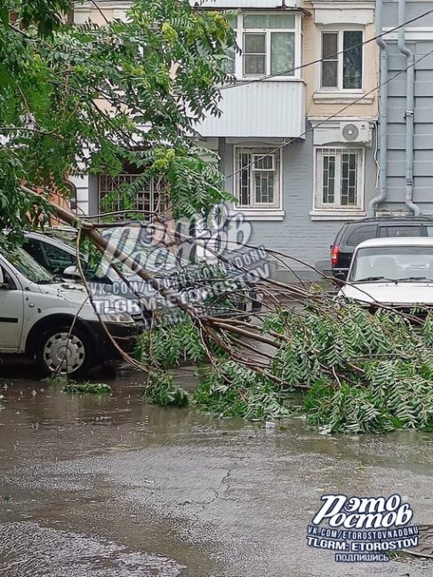 Социалистической досталось: во дворе упала ветка, а на балконе градом набило полный ящик. 🌧  ⚡ Подпишись на..