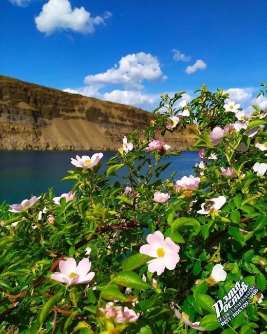 🌼 Карьер в Каменском районе. До чего же..