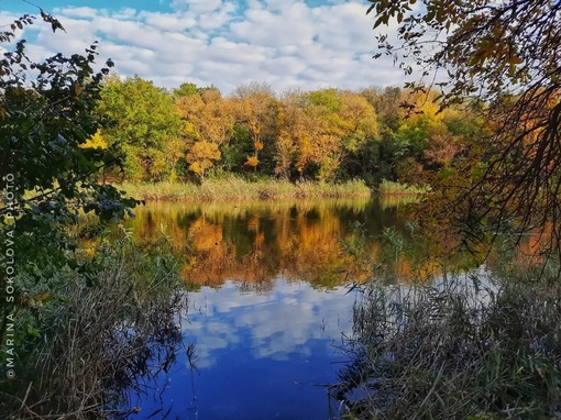 🍂 Осенние мотивы... а скоро осень. Кто-то её ждёт?  Фото: Марина..