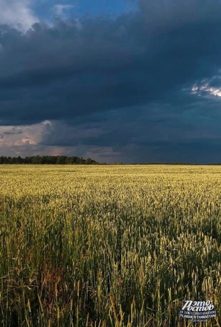 В полях перед грозой..