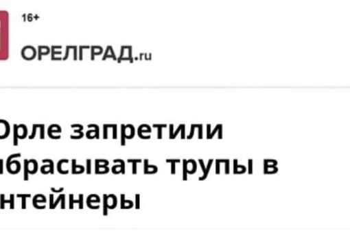 Госдума разрешила регионам узаконить убийство бездомных собак  Депутаты приняли во втором и третьем..