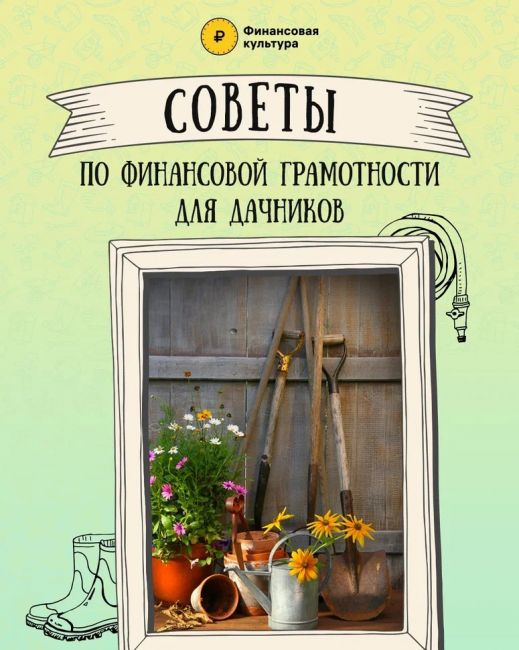 🌲Дачный сезон в самом разгаре. А это значит, что многие проводят время на свежем воздухе, едят овощи прямо с..