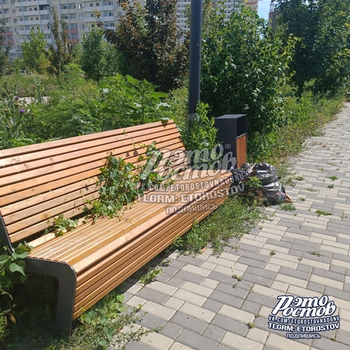 🌱 «Это называется "Эко-парк на Суворовском". Мусор в пакетах недели три в такую жару никто не собирает, трава..