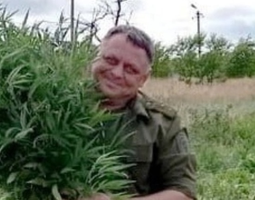 🌿 Донские казаки уничтожили 200 тысяч кустов дикорастущей конопли в Ростовской области. Общая масса..