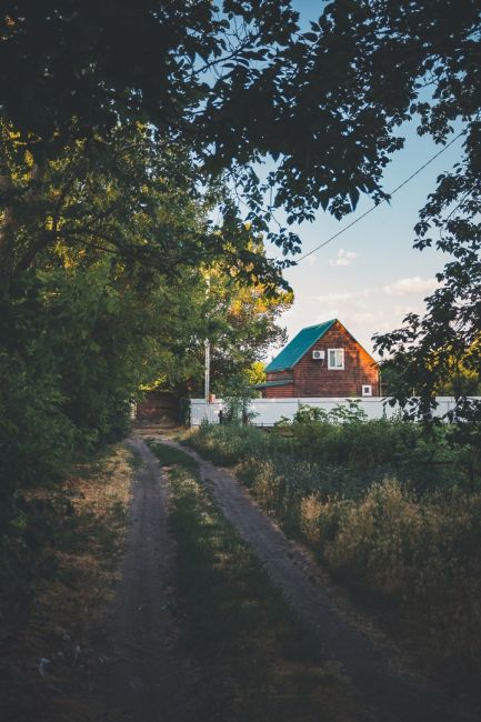 Раннее утро в Старочеркасской  Фото: Артём..