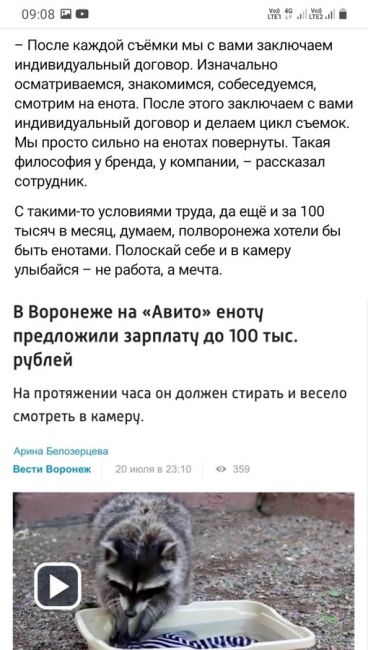 🐶 Очередная paбота мечты: В московскую кофейню ищут "трогателя щёк собак".  Тpeбования к работнику: глaдить и..