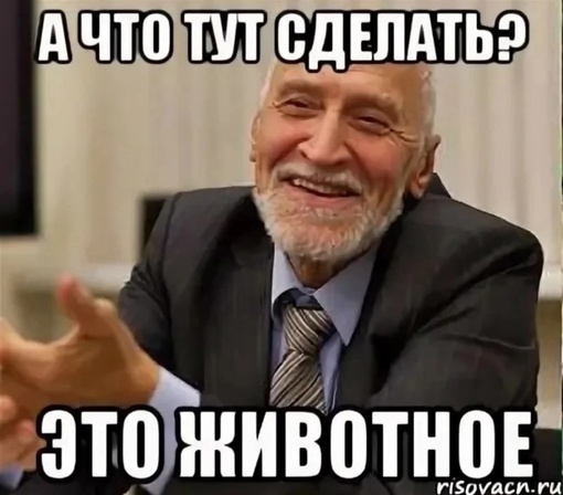 🚔 «Вчера вечером мужик под чем-то разбил остановку «Атарбекова», потом приставал к людям. Хотел сесть в..