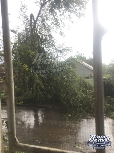 🌳⚠ Дерево поломало во время ливня с градом возле..