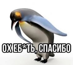 ❗После вчерашнего прилёта ракеты в центре Таганрога департамент по предупреждению и ликвидации ЧС..