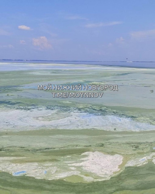 🗣️Вода на Горьковском море стала изумрудной. Если вы собираетесь туда — имейте в виду.💚  Бывали там..