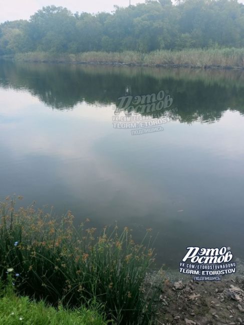 🌊 Можайский пруд устал, вода ушла где-то на..