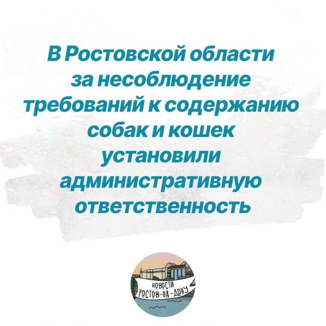 В Ростовской области за несоблюдение требований к содержанию собак и кошек установили административную..