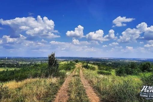 Знойное лето в окрестностях Белой Калитвы..