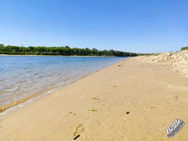 🏖 Песчаные берега станицы Раздорской — донские мальдивы.. 🏊  Замечательный песчаный пляж на реке Дон,..