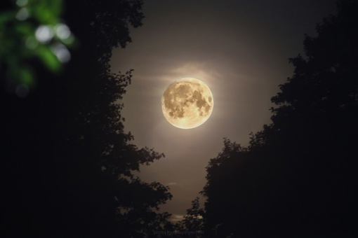 🌕Сегодня ночью в небе можно было наблюдать суперлуние, которое происходит, когда полнолуние совпадает с..