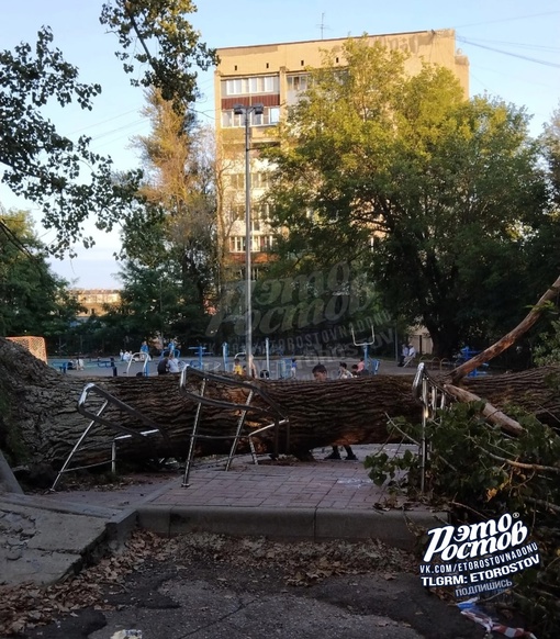 🌳⚠️ Большое дерево упало на территорию 37 школы. К счастью, никто не пострадал, зато погнулись забор и..