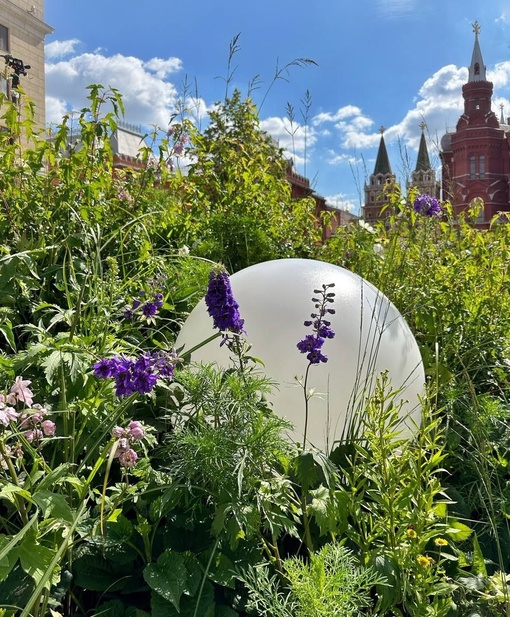 Зелень на Манежной площади  Фото..