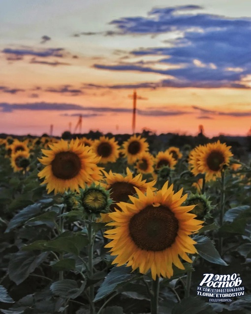 Красоты Донской земли..