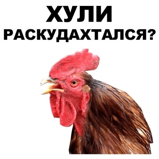 На днях полицейские поймали 37-летнего безработного рыбака на берегу Цимлянского водохранилища — мужчина..