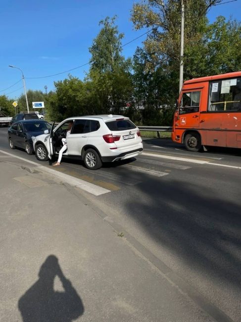 🗣️ дородные новости  Ничего необычного, просто дама очень торопилась и решила, что ей можно объехать пробку..