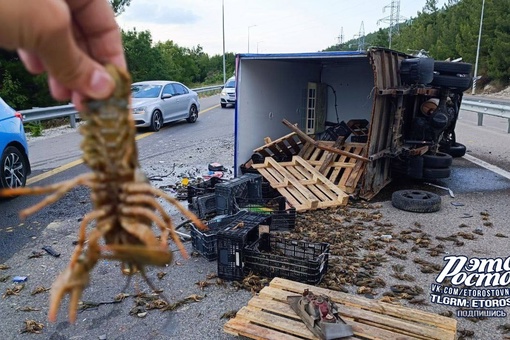 🦞️ В Геленджике произошло «раковое» ДТП. На объездной дороге трактор с ковшом въехал в грузовик, который..