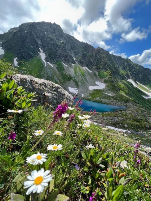 Лето 🪻🌼🌺🌸🥀  Свежесть и прохлада Альпийский лугов в горах Кавказа.  📸Фотограф Артём..