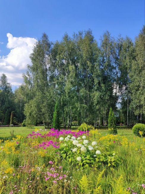 Летние кадры из парка "Лосиный остров".  Фото: Артемёнок..