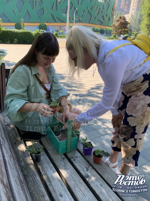 👍 К хорошим новостям. Сегодня в парке Дружба девушка безвозмездно дарила комнатные цветы прохожим и..