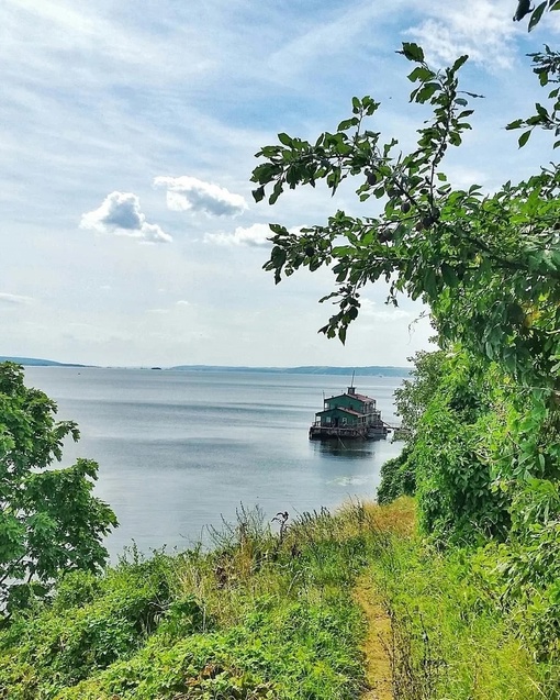 Ключищи 😍
Сюда можно добраться вплавь (шутка😏), а лучше на машине.  Координаты липовой аллеи: 55.679595,..