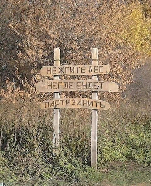 🗣️ Милый предупреждающий знак появился в Почаинском..