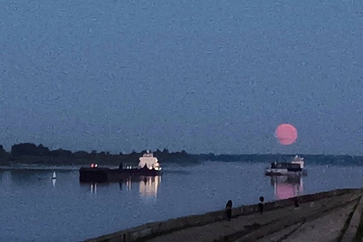 🌓 Нижегородцы делятся фотографиями суперлуния — Красной луны.  Кстати, это суперлуние называется..