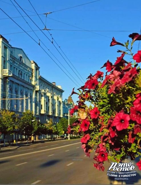 Доброе утро и хорошего Вам..