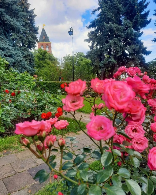 Живописный Тайницкий сад у стен Кремля.  Фото:..