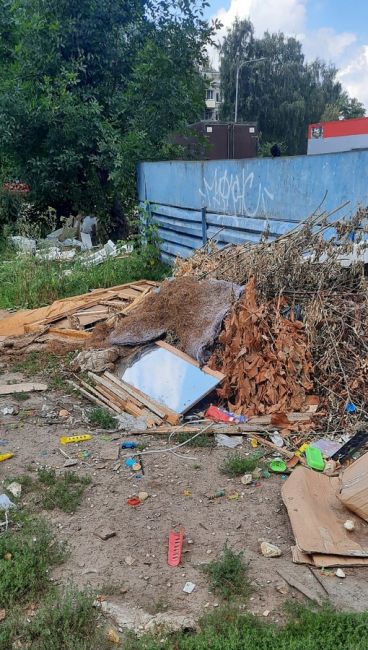 Черняховского 12 зарастает помойкой,ДУК на заявки убрать мусор не реагирует,нижэкология..