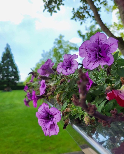 Доброе утро, друзья! 🌼🌸🌞  Фото..