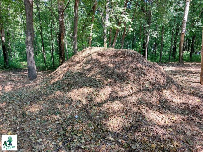 🎉🌳🪓  Сегодня 120 лет исполняется парку "Швейцария".  Парк, без сомнения, прекрасен.  Но есть проблема - мы..