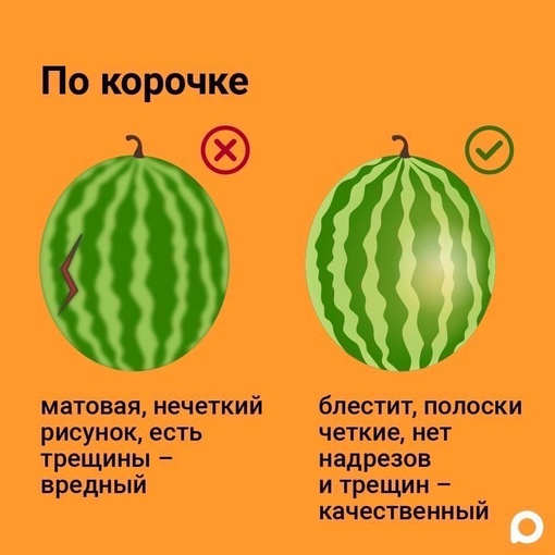 🍉 Наступил один из самых вкусных месяцев лета. Если вы не знаете, как выбрать самый спелый и сочный арбуз,..