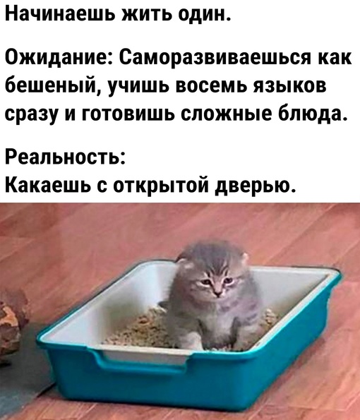 🗣комфорт привыше..