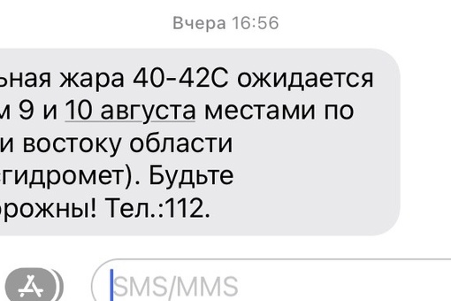 ☔️⚠️ МЧС передаёт новое штормовое предупреждение:  С 9 по 11 августа местами в Ростовской области ожидается..