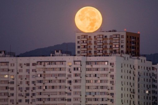 🌘Доброе утро!  Сегодня и правда было Суперлуние "Голубая Луна". в 4.00 она была голубоватая (пятое фото), а уже в..